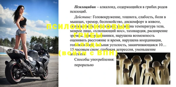 spice Алексин