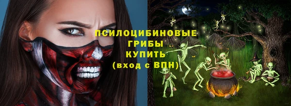 прущие грибы Россошь