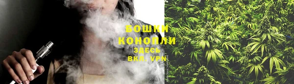 прущие грибы Россошь