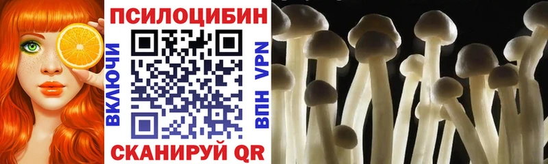 Псилоцибиновые грибы ЛСД  Ветлуга 