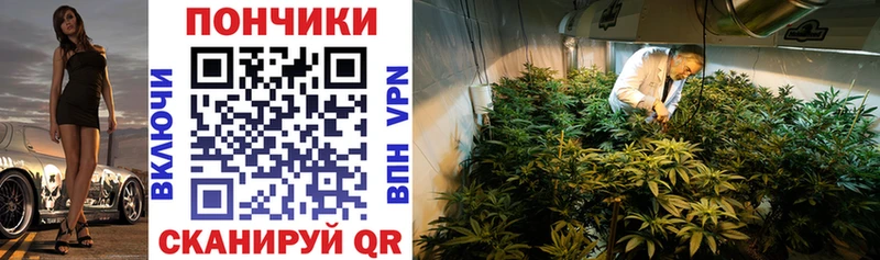 hydra tor Ветлуга Марихуана Amnesia наркотики